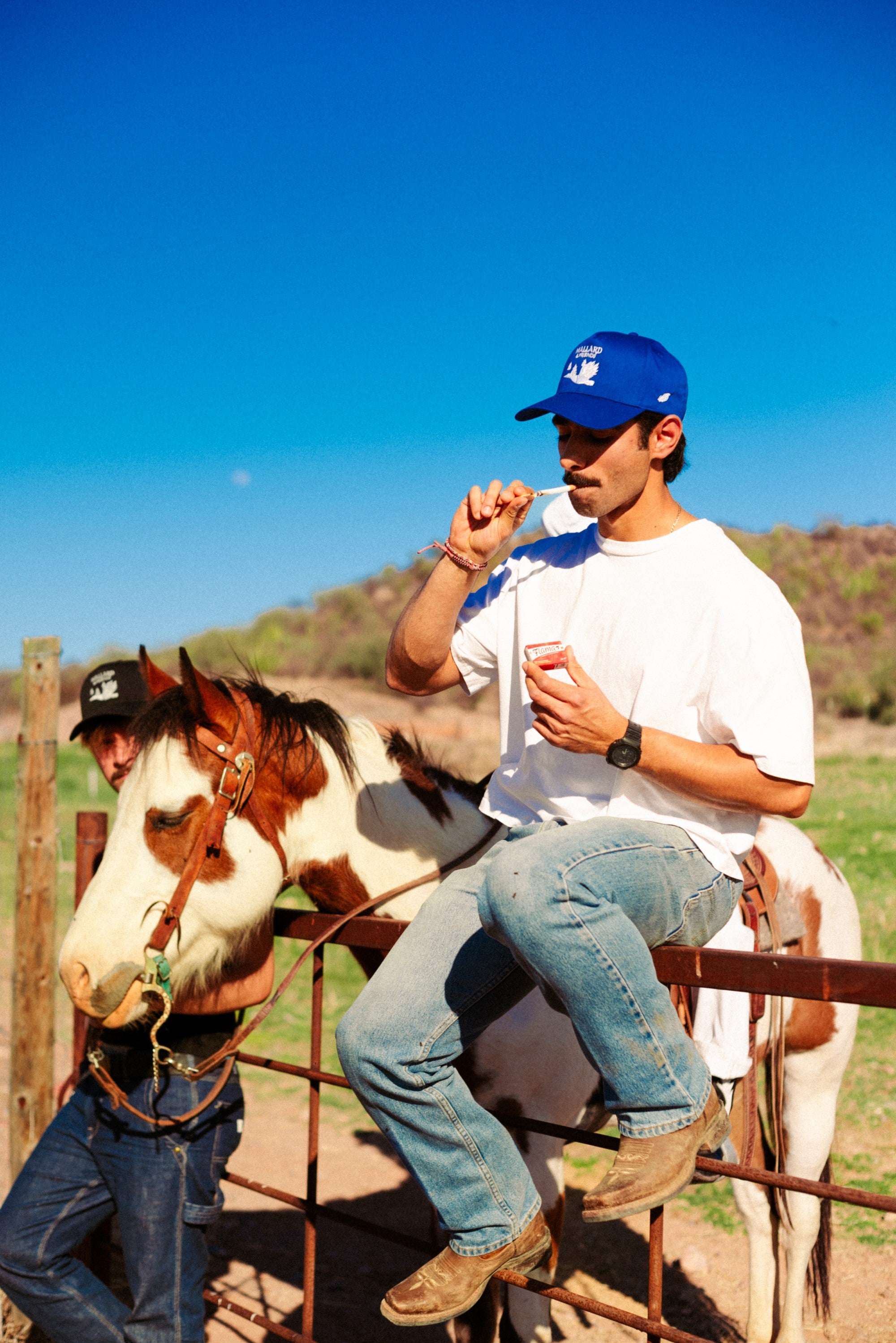 Royal Blue and Black Hat Photo with a Horse