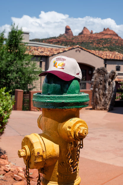 Mallard @ Phoenix, AZ Gray and Maroon Five Panel Hat hanging on a water hydrant