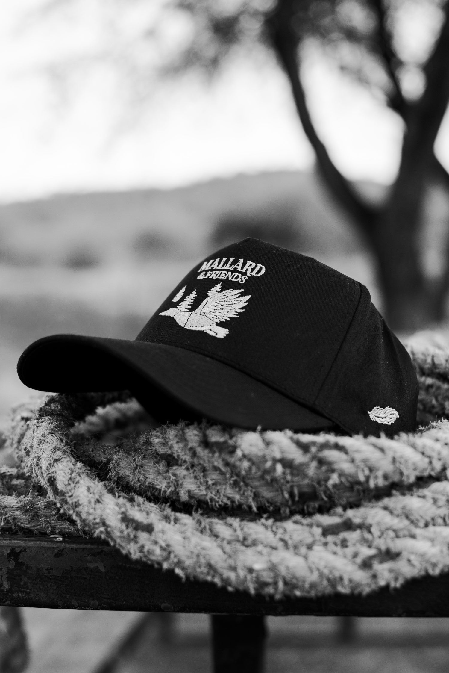 Mallard and Friends Black Five Panel Hat over a rope