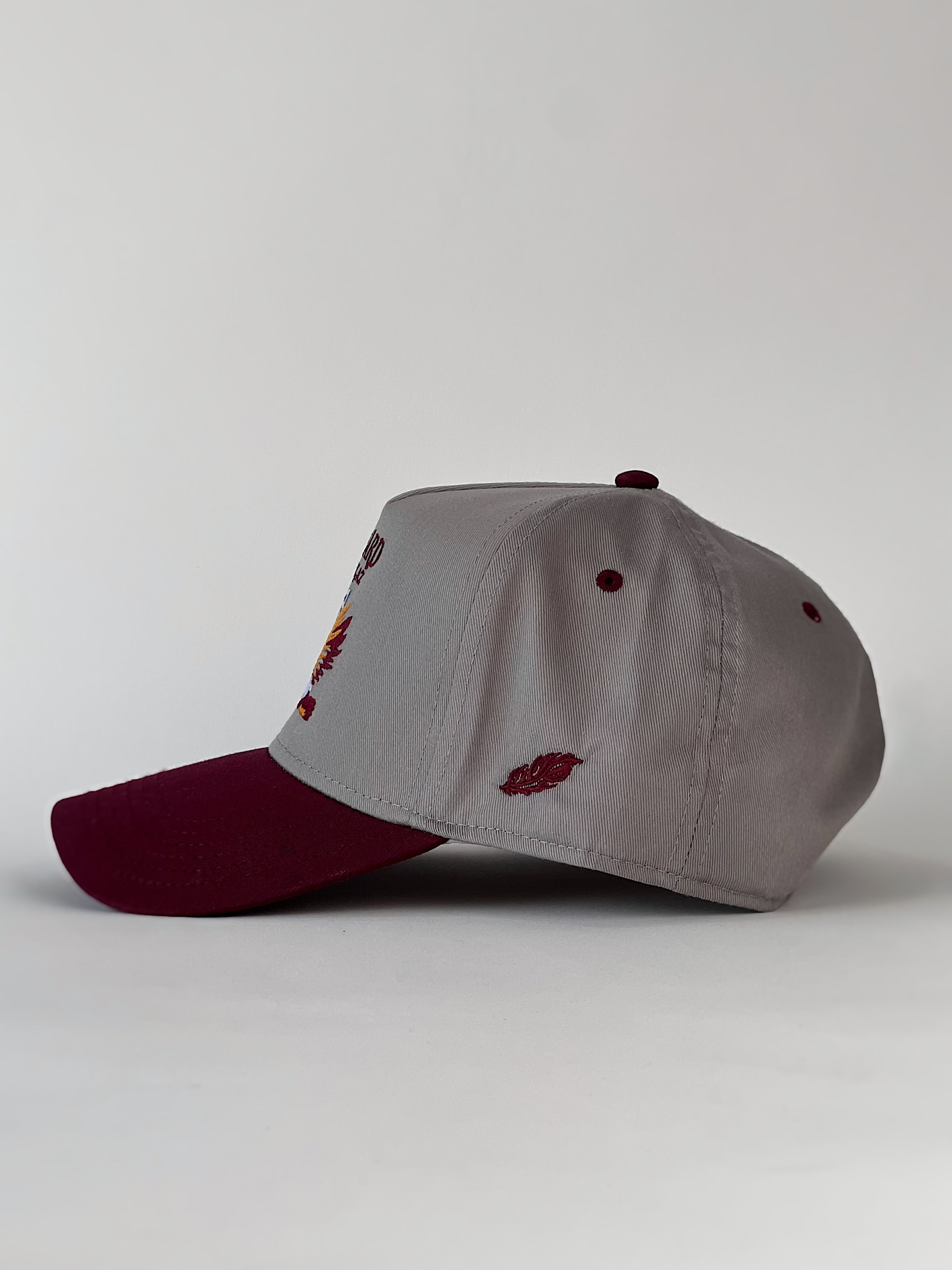 Mallard @ Phoenix, AZ Hat | Gray and Maroon Five Panel Hat