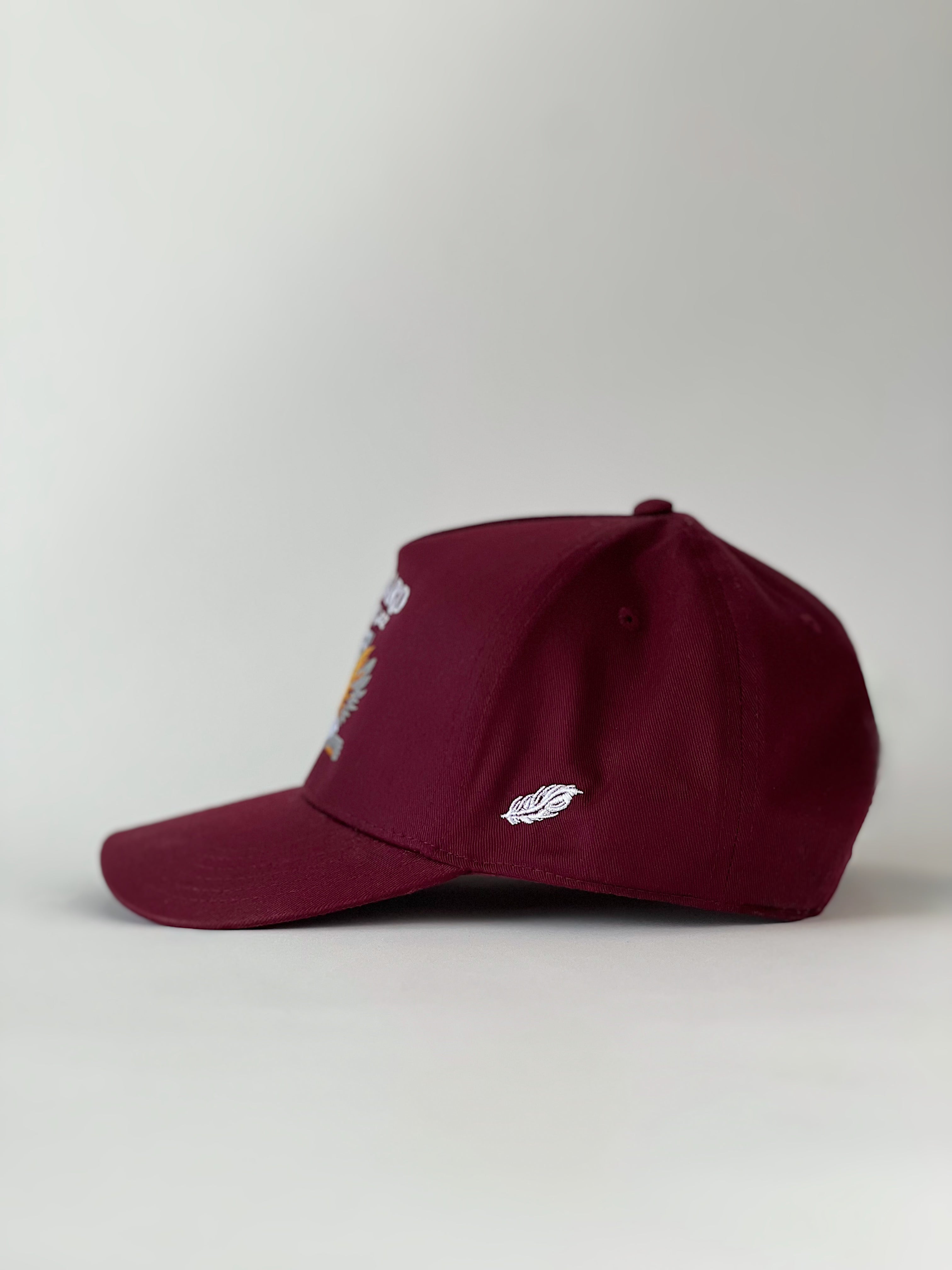 Mallard @ Phoenix, AZ Hat | Maroon Five Panel Hat