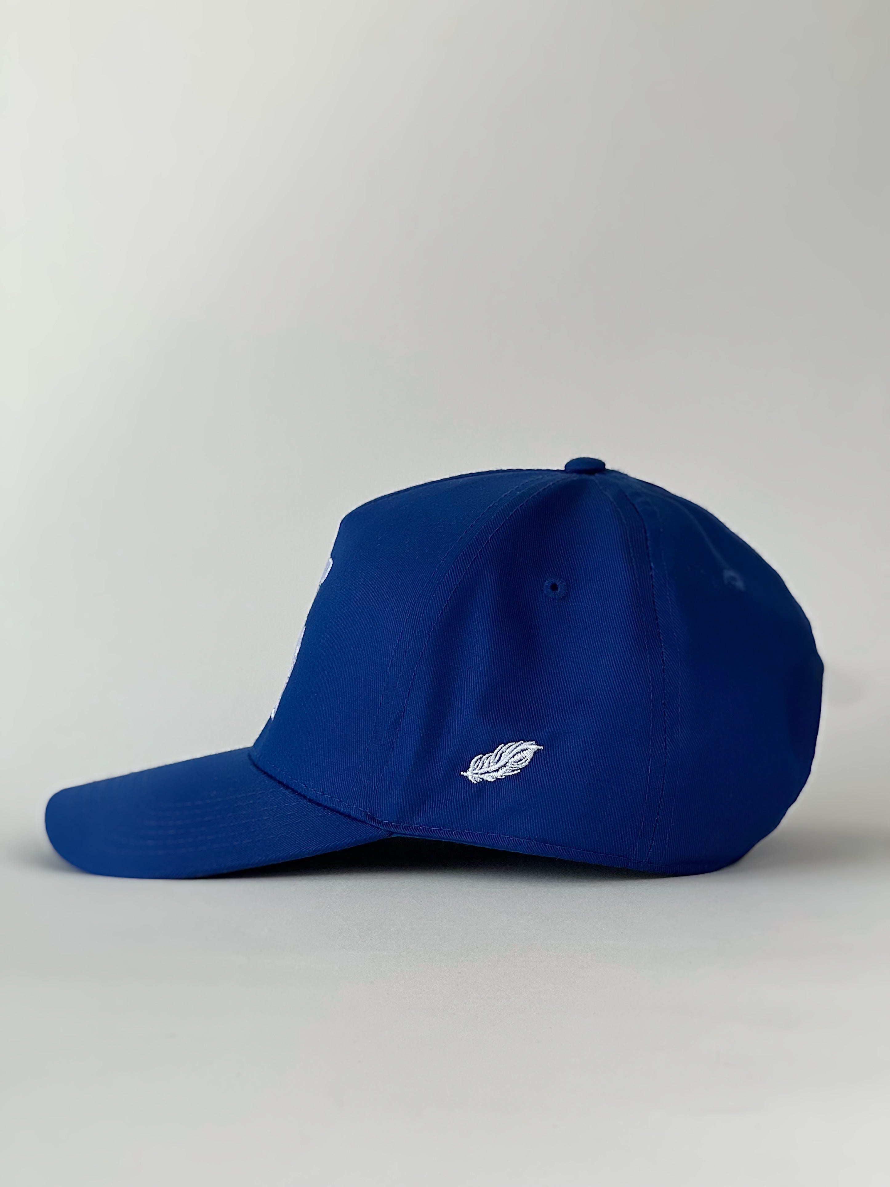 Mallard & Friends Hat | Royal Blue Five Panel Hat