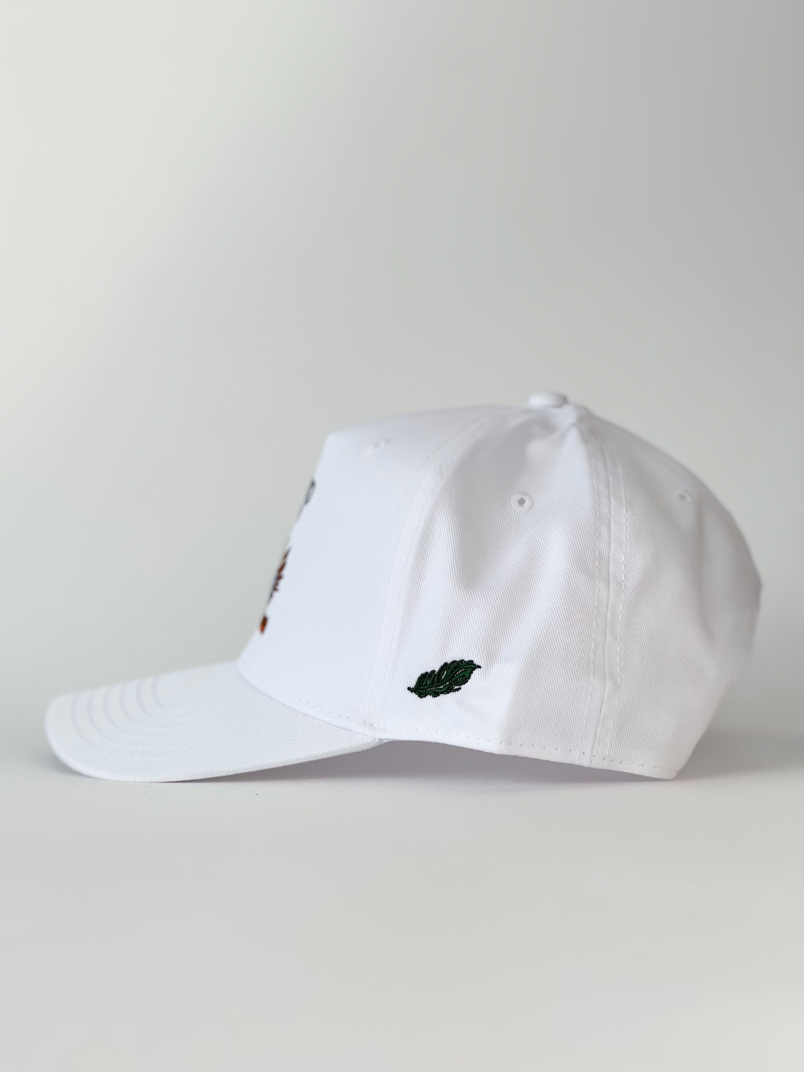 Mallard and Friends White 5 Panel Hat Front View